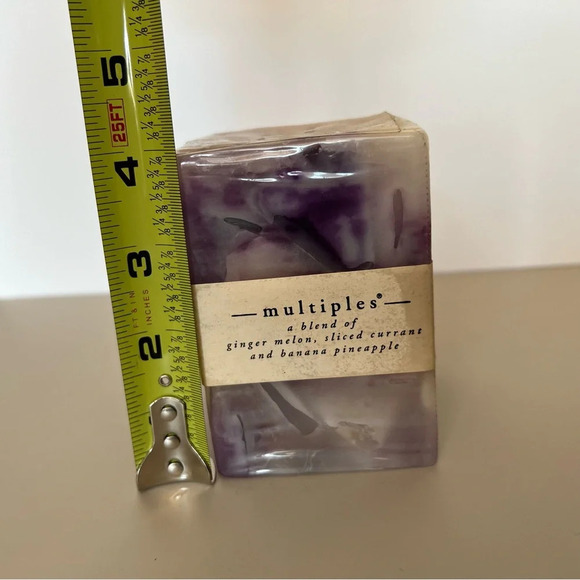 NWT Pier 1 Multiples Ginger Melon Sliced Currant Banana Pineapple Purple Candle - Picture 6 of 7